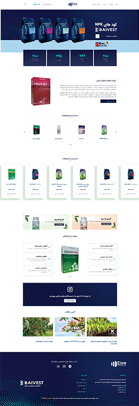 طراحی سایت شرکتی رهام ساتراپ اسمی